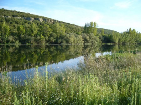 río Esla a su paso por Bretocino